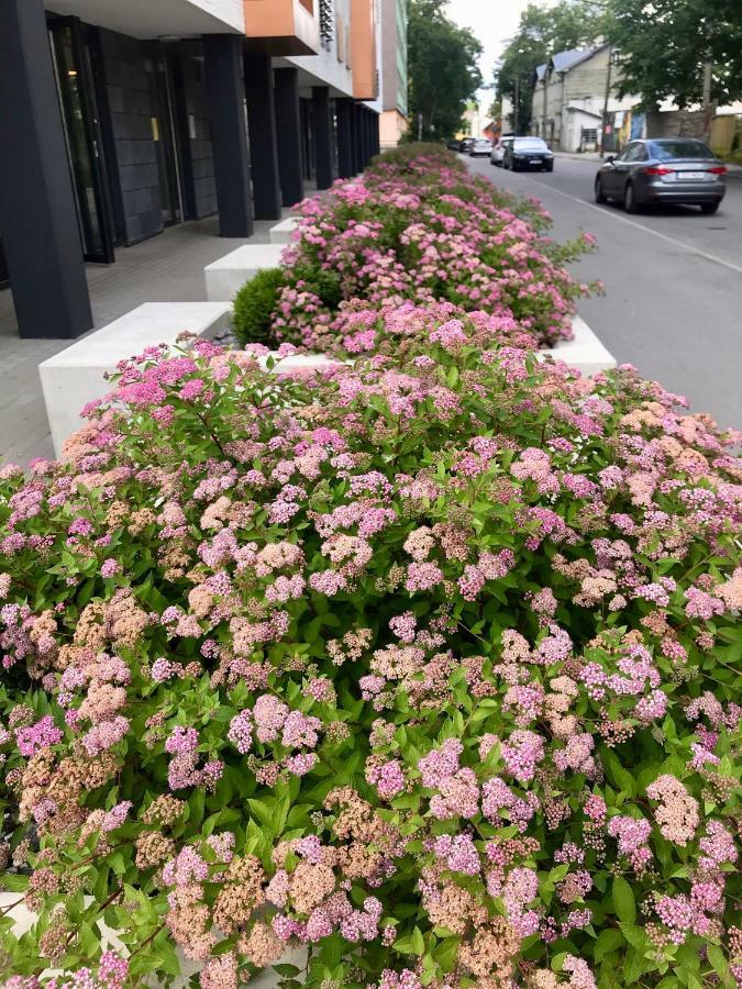 Cozy Home Apartment - Tallinn City Center Εξωτερικό φωτογραφία